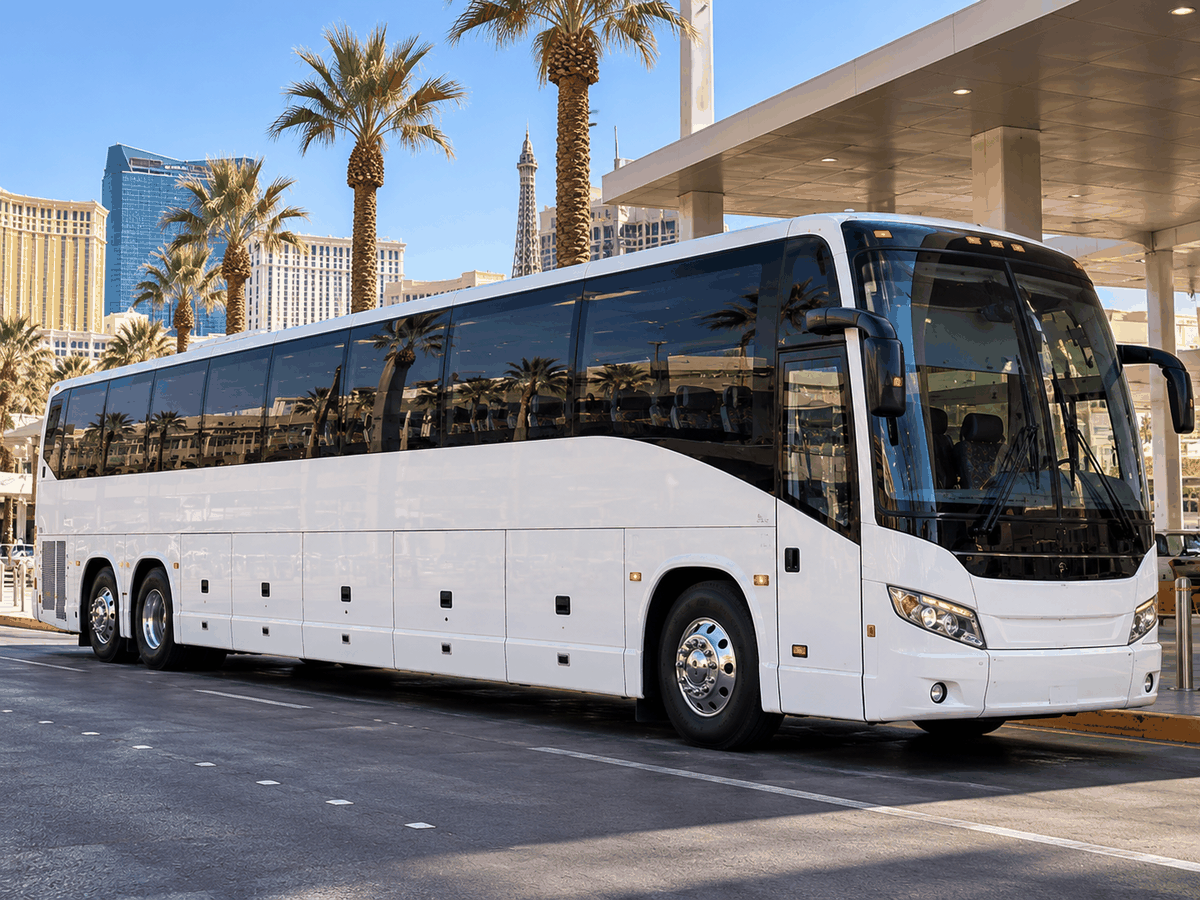 Large Coach